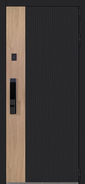 Стальная дверь Конструктор с зеркалом биометрический замок Smart lock Y23 2050x880 100кг