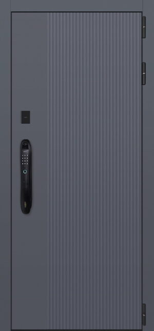 Стальная дверь Нева с зеркалом биометрический замок DZ 888 2050x880 100кг