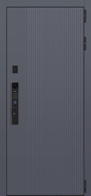 Стальная дверь Нева с зеркалом биометрический замок К06 2050x880 100кг
