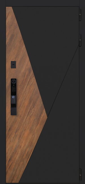 Стальная дверь Plata биометрический замок Smart Lock Y12 2050x960 110кг