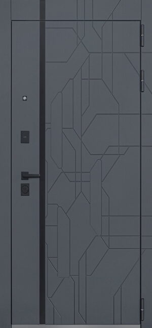 Стальная дверь Forest с зеркалом 2050x960 82кг