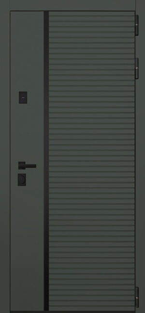 Стальная дверь Ferrum с зеркалом адаптивная замковая часть 2050x960 110кг